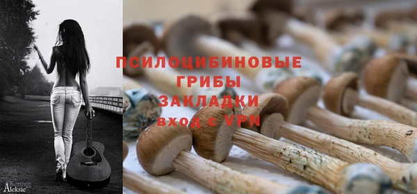 тгк Арсеньев